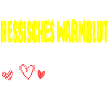 HESSISCHES-WARMBLUT-Mond