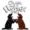 Flattie Oh You 4