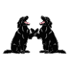 Flattie Pair 3