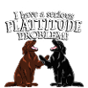 Flattie Flattie