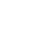 Drone Pilot