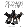 German Shepherd Dog