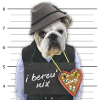 Lustiger Bulldogge "Spatzl"