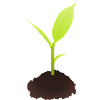 Sprout illustration