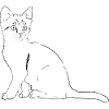 Cat illustration