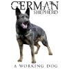 German Shepherd Dog