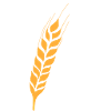 Ähre