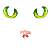 Black cat eyes