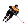 Hockey