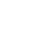 LOVE - Border Collie