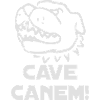 Cave Canem! Caution guard dog!