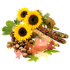 Herbst Kastanie Mais Sonnenblume