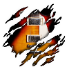 Electric guitar in me