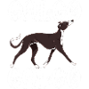 Galgo Galgo 4