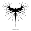 Black Raven