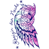 Owl Night
