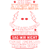 FAHRDIENSTLEITER
