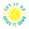Set it up / VOLLEYBALL