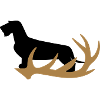 Rauhaardackel mit Geweih