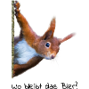 Eichhörnchen sucht Bier