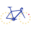 Bicycle with European tires