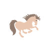 Pilote de Poney