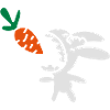 Bunny eats carrot - 3