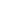 Skydiving Evolution