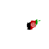 I love Afghanistan - heartbeat