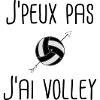 volleyball