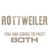 Protected by Rottweiler