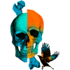 SKULL & CROW