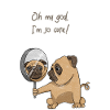 Cute Pug