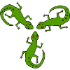lizards