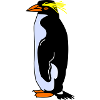 penguin