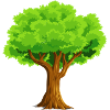 Baum