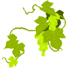 vines
