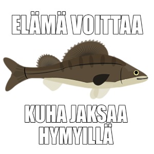 kuha