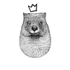 König Wombat