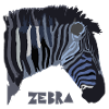 zebra