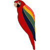parrot