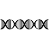 ADN