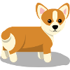 Corgi