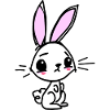Small rabbit