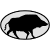 Boar