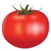 tomate