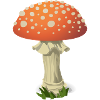 Toadstool