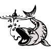 Fisch mit Köder