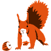 Eichhoernchen