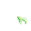 Kale Yeah I am Vegan